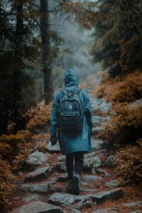 Person walking along a misty forest path